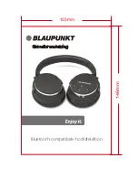 Preview for 37 page of Blaupunkt BLP4400 User Manual