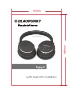 Preview for 46 page of Blaupunkt BLP4400 User Manual