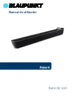 Preview for 25 page of Blaupunkt BLP9620 User Manual