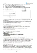 Preview for 30 page of Blaupunkt BT03 Owner'S Manual