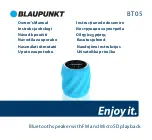 Предварительный просмотр 1 страницы Blaupunkt BT05 Owner'S Manual