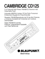 Blaupunkt Cambridge CD125 Owner'S Record preview