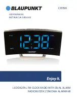 Preview for 1 page of Blaupunkt CR7BK User Manual