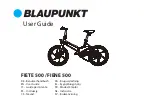 Blaupunkt FIENE 500 User Manual preview