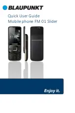 Blaupunkt FM 01 Slider Quick User Manual предпросмотр