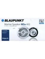 Предварительный просмотр 12 страницы Blaupunkt MSx 402 Manual