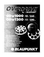 Preview for 1 page of Blaupunkt Overdrive ODw1000 Manual