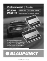 Blaupunkt ProComponent PCA2120 Owner'S Manual предпросмотр