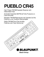 Blaupunkt Pueblo CR45 Owner'S Records предпросмотр