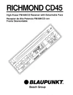 Blaupunkt Richmond CD45 User Manual предпросмотр