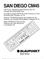 Blaupunkt San Diego CM45 Owner'S Record предпросмотр