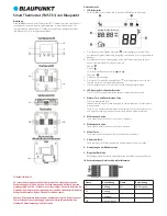 Preview for 1 page of Blaupunkt TMST-S1 Manual