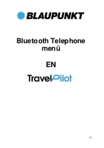 Предварительный просмотр 10 страницы Blaupunkt TravelPilot Instruction Manual