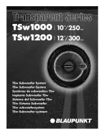 Blaupunkt TSW 1000 Installation Instructions Manual preview