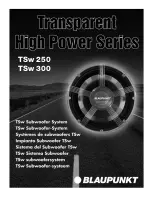 Blaupunkt TSw 300 Installation Instructions Manual preview