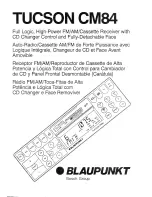 Blaupunkt Tucson CM84 Owner'S Record предпросмотр