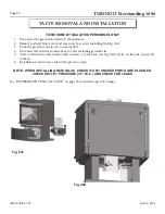 Предварительный просмотр 38 страницы Blaze King TORINO II 1606 Operation & Installation Manual