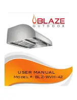 Preview for 1 page of Blaze Outdoor BLZ-WVH-42 User Manual