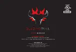 Предварительный просмотр 21 страницы BLAZING BULL BB-1001-LP-SS User Manual