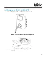 Предварительный просмотр 43 страницы Blink IQ 200 Instruction Manual