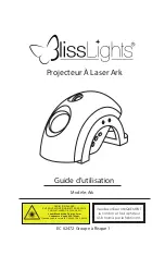 Preview for 10 page of BlissLights Ark User Manual