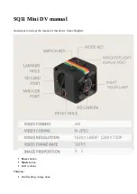 Blitz SQ11 Manual предпросмотр