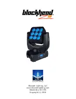 Blizzard Lighting Blockhead Z9 Manual preview