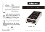 Предварительный просмотр 1 страницы Blizzard BIH2 Quick Start Manual