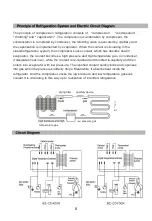 Preview for 9 page of Blizzard BZ-CD100R Operating Instructions Manual