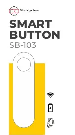 Blocklychain SB-103 Manual preview