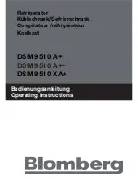 Предварительный просмотр 1 страницы Blomberg DSM 9510 A+ Operating Instructions Manual