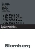 Blomberg DSM 9630 A++ Operating Instructions Manual предпросмотр