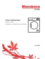 Preview for 1 page of Blomberg DV 17600 W Owner'S Manual