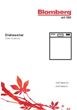 Preview for 1 page of Blomberg DWT 28500 SS User Manual