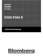 Preview for 1 page of Blomberg GGN 9164 E User Manual