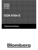 Предварительный просмотр 1 страницы Blomberg GGN 9164 E User Manual