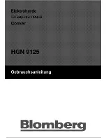 Preview for 1 page of Blomberg HGN 9125 User Manual