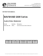 Blonder tongue BAVM-860 SAW Series Instruction Manual preview