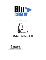 Blu-Comm BluComm-OTH User Manual preview