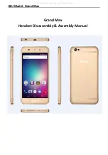 Blu Grand Max Assembly And Disassembly Manual preview