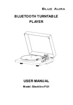 Blue Aura Blackline PG1 User Manual предпросмотр