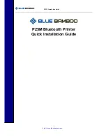 Предварительный просмотр 1 страницы Blue Bamboo P25-M Quick Installation Manual