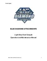 Blue Diamond Root Grapple Light Duty Operation And Maintenance Manual предпросмотр