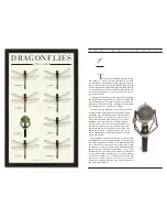 Предварительный просмотр 2 страницы Blue Microphones Dragonfly Microphones Brochure