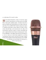 Предварительный просмотр 2 страницы Blue Microphones en CORE 200 Series Specifications