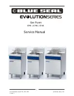 Blue Seal Evolution GT45 Service Manual preview