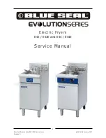 Blue Seal Fast-Fri E43 Service Manual preview