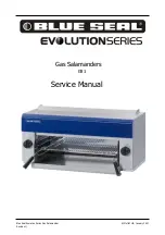 Blue Seal G91 Service Manual preview