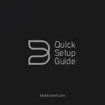 Blue Sound N100 Quick Setup Manual preview