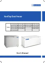 Blue Star CHFDD300DGPW User Manual preview